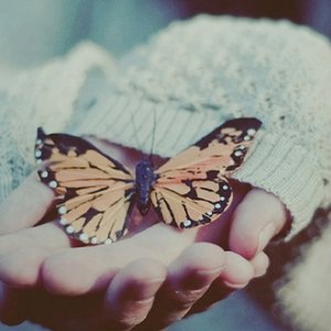 朱竹清被❌挤奶的视频
