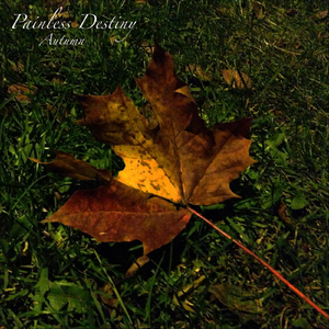 朱竹清被❌挤奶的视频
